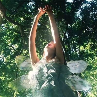 猫和老鼠：回到奥兹